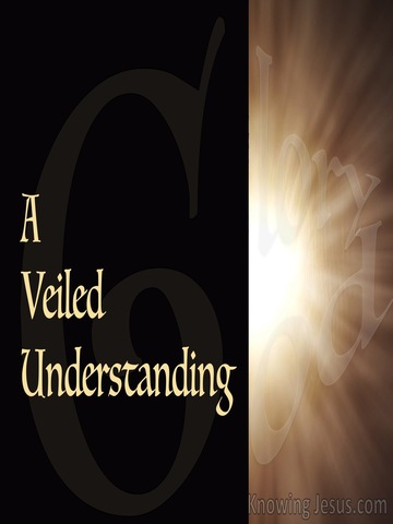 A Veiled Understanding (devotional)11-09 (brown)